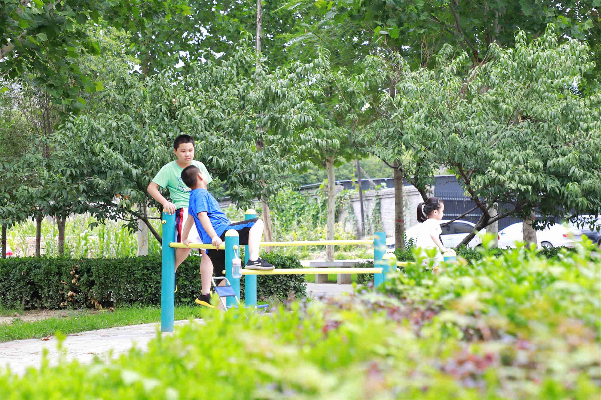 龙山庭院绿化工程